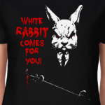 White Rabbit Comes For You !