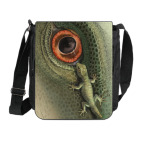 Геккон-попутчик