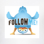  футболка FOLLOW ME!