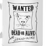  Кот Шредингера