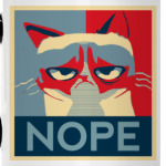 Grumpy cat - NOPE