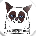 Grumpy cat