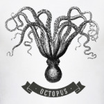 Винтажный спрут