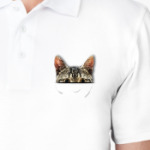 Котик в кармашке