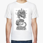 Внутренний мир