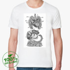 Мужская футболка органик