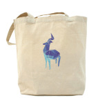 Холщовая сумка