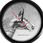 Конный спорт, лошади. Dressage