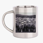 Овечки в очках