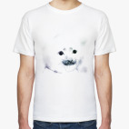 Малыш тюлень