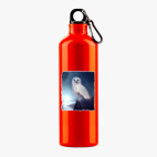 Металлическая бутылка 700 мл UV-DTF