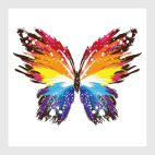 Постер 40 х 40 см Бабочка