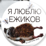 Я люблю ежиков