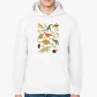 Толстовка худи