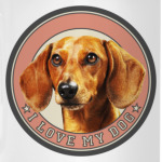 Собака Такса