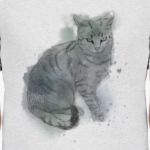 Серый сердитый кот