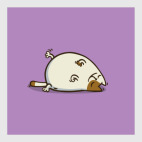  Пятничный Котик №18