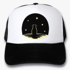 Кот и звезды