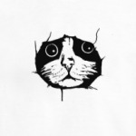 Любопытный кот