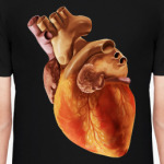 Человеческое сердце