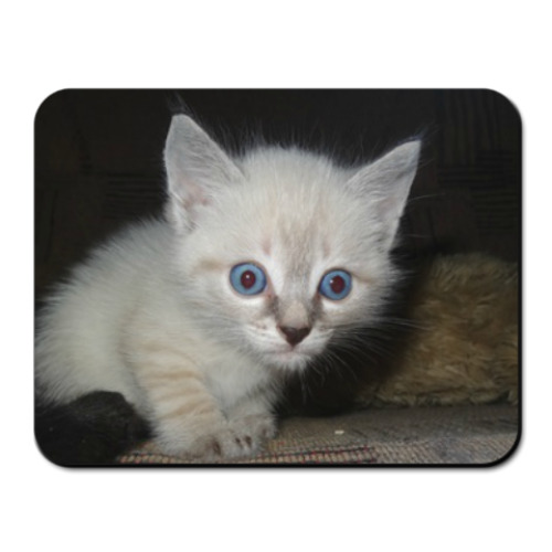 Коврик для мыши с принтом Котик