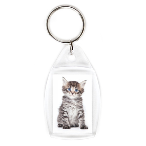 Брелок с принтом Котики-котята