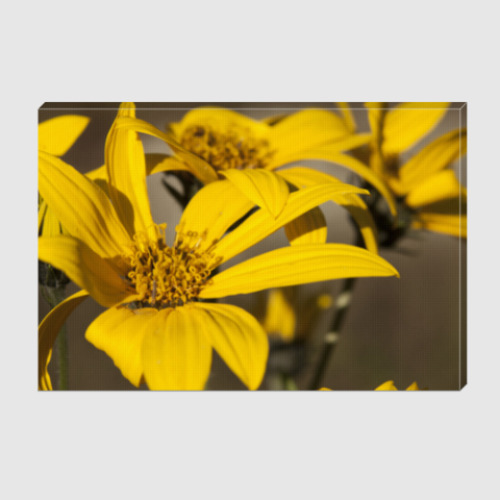 Холст с принтом Медовое настроение