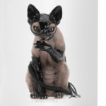 Котейка-сфинкс