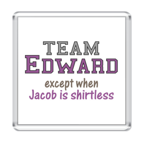 Магнит  Team Edward