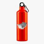 Металлическая бутылка 700 мл UV-DTF