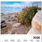 Скалистый берег моря