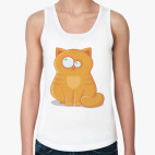 Animals / cat