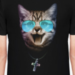 Кот в очках