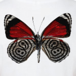 Крылья Бабочка