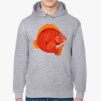 Толстовка худи