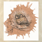 Спящая сова