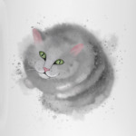 Серый кот, кошка