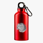 Металлическая бутылка 400 мл UV-DTF