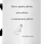 Кот шредингера