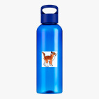 Прозрачная спортивная бутылка