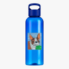 Прозрачная спортивная бутылка