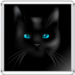  Black Cat