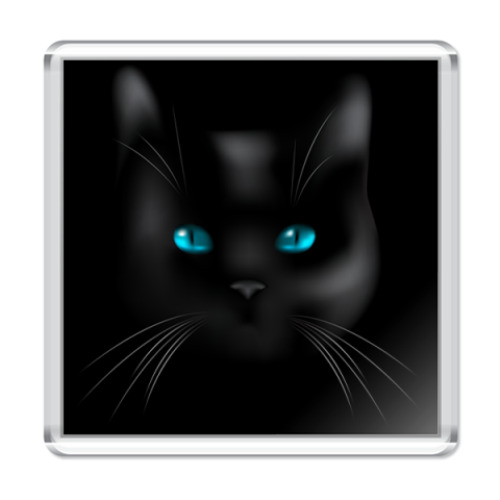 Магнит  Black Cat