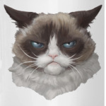 Grumpy Cat / Сердитый Кот