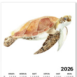 Морская черепаха