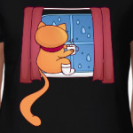 Котик и ночной дождь