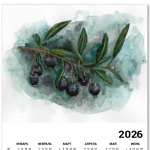 Спелые оливки