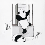 Climbing animals: Panda