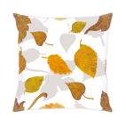 Звонкий листопад