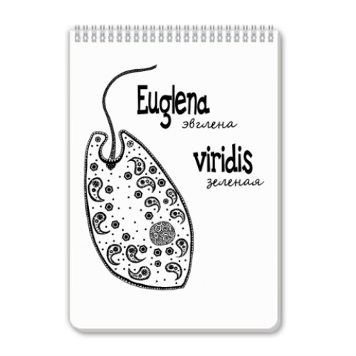 Блокнот Euglena viridis